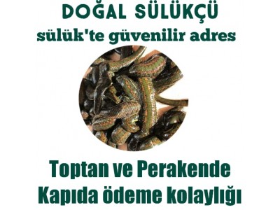 KARS DİGOR SÜLÜK SATIŞI Toptan ve Perakende Sülük Satışı